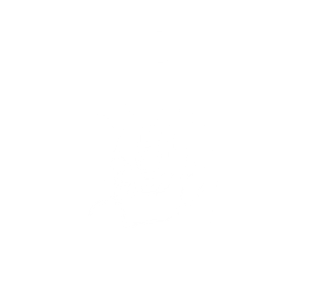 Maurice skull logo
